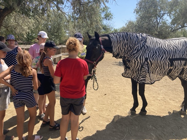 Мініатюра 17